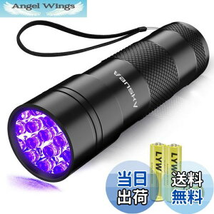 yzVansky 12LED O ubNCg UVCg O Cg WpdCg ڂɂ͌Ȃɑ΍ (ubN)