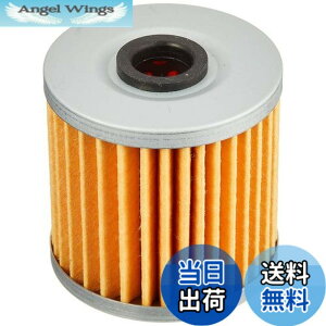 �y���������z�L�^�R (KITACO) �I�C�������t���L�b�g K-pit �G�X�g���A�A250TR��p 70-390-04040