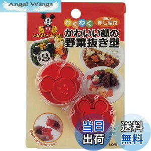 yzXP[^[(Skater) ؔ^ { fBYj[ ~bL[}EX LKVN1-A