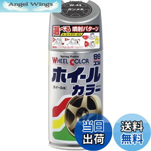 �y���������z�\�t�g99(SOFT99) 99�H�[ ��C�y�C���g �z�C�[���J���[ W43 �K�����^ 300ml W�[43 �����Ԃ̃A���~�E�S�z�C�[���y�ю������z�C�[���J�o�[ 07543
