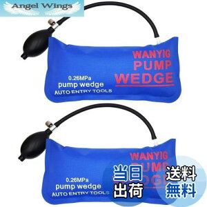 yzWANYIG GA[Ct[^[ GA[EGbW  hAbN  WbLAbv 300KGΉ ⏕H xTPUi 2_Zbg (傫Ȓ`)