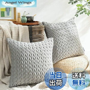 yzPhantoscope NbVJo[ xxbgv[c k 2  e͐ LeBO \t@w   n2WAY O[ 45×45cm