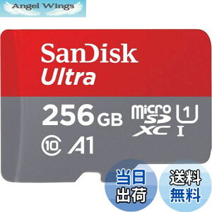 【送料無料】SanDisk SDSQUA4-256G-GN6MN 海外リテール アダプター無