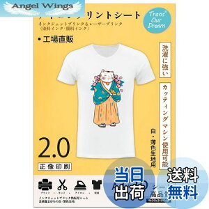 yzTransOurDream ^̓]ʃV[g ACvgV[g2.0  Fnp A4 20 vgV[g ]ʎTVc]ʃV[g M]ʃV[g ɋ JP-2-20