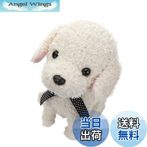 yzZKtFCu (SEGA FAVE) RR  N[