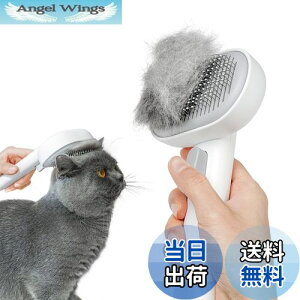 yzAEJ (Aumuca) ybgpuVuvbVvLuV puV L  ю uV }bT[W XbJ[uV ubVOuV ыʎuV Lʗp 