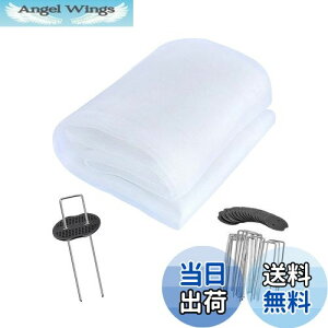 yzhlbg lbg |G` 3m×c10m Q̐Nh |؍͔|lbg hlbg ۉ h ʂ ƒ؉   |  zCg