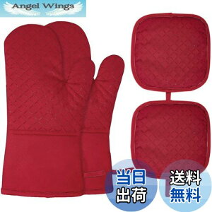 yzI[u~g Whonor ϔM~g 300xϔM ₯ǖh~  _ȖȐ+\ʃVR[bV ~ ꂪڗ dqW P[LĂ 痿 o[xL