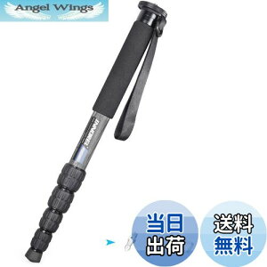 yzINNOREL r Jp J[{ 22lbs/10kgω׏d 5ZNVLk\ RpNg ֗ y spiRM285Cj