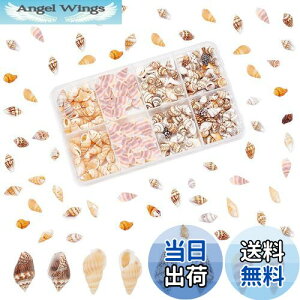 yzPH PandaHall 260 VF Lk Zbg L ~bNX r[`VF fRf r[` ANZT[p[c |pi f   p[eB[  C̓ Ă̑