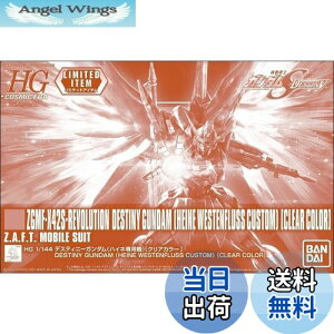 yzo_C(BANDAI) HG 1/144 fXeBj[K_(nClp@)[NAJ[] @mK_SEED DESTINY