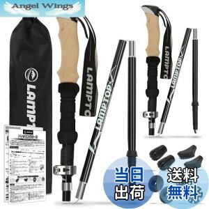 yzLAMPTOP gbLO|[ 2{Zbg oRXgbN A_[Obv ܂肽ݎ y7075A~ 280g 100`120cm߉\ RpNg EH[LO|[ [P[Xti