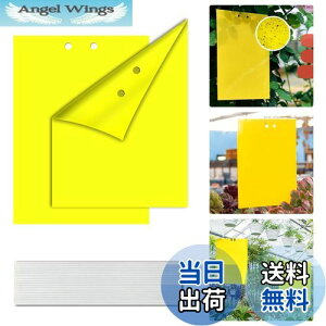 yzyBEAUTY PLAYERz SV[g ߒV[g hV[g QߊlS Aؔ  gbv 悯v[g XeBbL[ Sgbv tCO XeBbL[ L