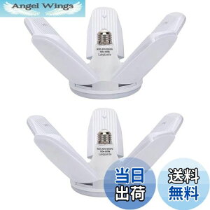 yzLaiqianle K[WCg 100w 2 LEDV[OCg y_gCg Ɠ 6 F 6500K VƖ tȒP Hsv px߉\ ȃGl Ԍ q [ HpCg 