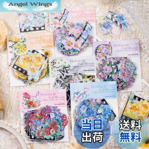 yzAlideco120 V[ t[NV[ R[W f y[p[ fގ [X[gsAXebJ[g ԁAAA ؍̏̎q COV[ Cpm[gfށAL