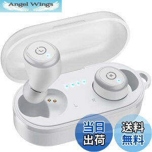 �y���������zTOZO T10 ���C�����X�C���z�� 2025 �ɏ�̉��̌� ���͂��@�ׂȉ� ���R��h�~ �h�����\ Bluetooth ��x�� �J�X�^��EQ ��p�A�v���Ή� ������ �ڑ��u�� �����y�A�����O �^�b�`���� �}