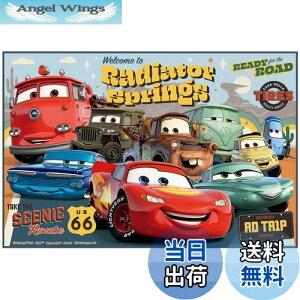 yzXP[^[(Skater) qp W[V[g  STCY 60×90cmTCY fBYj[ J[Y 24 VS1-A