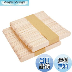 yzDFsucces ؐ_ }h[ ACXXeBbN ؐ ACX̖_  DIYޗ Ȍ|piip (15*1cm)