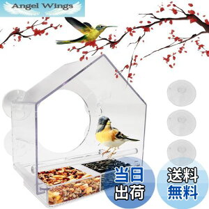 yzp̉aA CTRICALVER O PC vX`bN{bNX (20 x 11 x 20cm) ݂艺zՕtAO\ȃgCƔrt  O  쐶 p