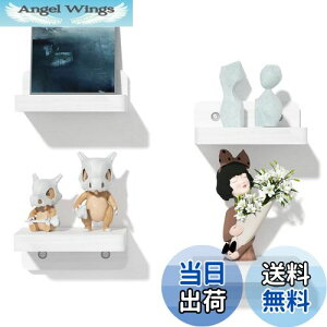 yzSRIWATANA Ǌ|bN EH[VFt  I (zCg)