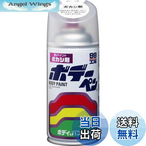 yz\tg99(SOFT99) 99H[ CyCg {f[y {JV 300ml ԃ{fBAop[AA؍ 08004