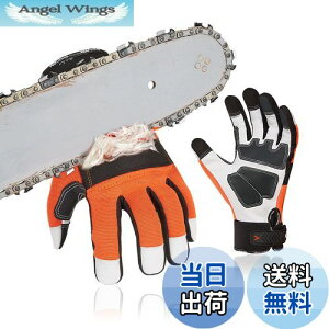 yz[Vgo...] `F[\[ hU JjbNO[u Ɨp R rv ĕt Uy hn hp ~ ̍b12w`F[\[~ߕzt EN381-7Kix