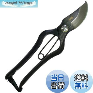 yzߗ^(KONYO) { ł  炩Ȑ؂ƊmȐ؂ꖡ ̂Â̊XuVOsv̏ɂ`Zp 20.5cm