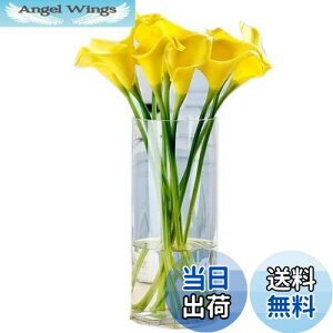 yz KX ԕr Ԋ V_[ ~ ԕr KX ԕr   ԕrk ԕr 30cmt[x[X Ԋ oXPbg ԕr K[f KX Of[V  Vv 