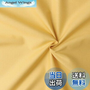 yz{Rtf(Nippon Chuko) GCeBXNGA n n 100% V[eBO Cg}X^[h Fn Ж108cm×50cmؔJbg KD4630-168-50CM