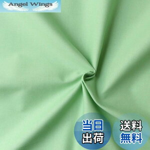 yz{Rtf(Nippon Chuko) GCeBXNGA n n 100% V[eBO xr[O[ O[n Ж110cm×50cmؔJbg KD4630-122-50CM n nn GCeBXNGA