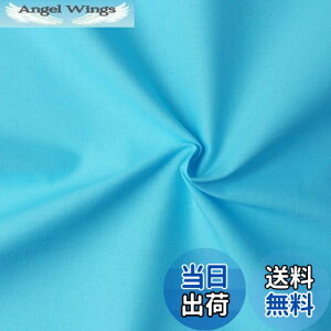 yz{Rtf(Nippon Chuko) GCeBXNGA n n 100% V[eBO ~YC u[n Ж110cm×50cmؔJbg KD4630-244-50CM n nn GCeBXNGA