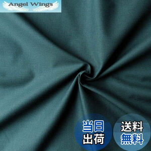 yz{Rtf(Nippon Chuko) GCeBXNGA n n 100% V[eBO {gO[ O[n Ж110cm×1mؔJbg KD4630-141-1M n nn GCeBXNGA