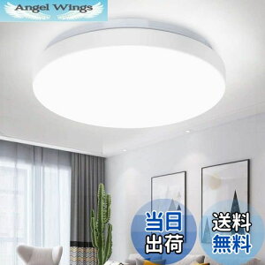 yzDepuley LEDV[OCg 4.5 6 F ^ 20W  k y 5700k~6000k 1200lm ی^ ǃXCb`  Q  a m R ȒPt Hsv ȃGl N