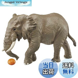 yz^Jg~[ AjA AS-02 AtJ]E (IWt)    3Έȏ