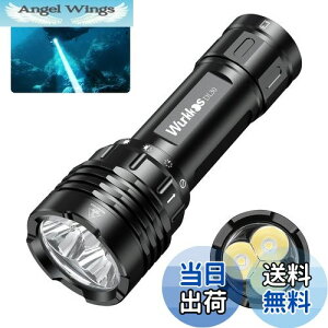 【送料無料】Wurkkos DL30 ダイビングライト LED 懐中電灯 水中ライト 潜水可能 3600ルーメン 超高輝度 USB充電式 90CRI LH351D×3搭載 IPX-8防水 水中100Mまで使用可