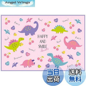 yzXP[^[(Skater) qp W[V[g  STCY 60×90cm nbs[&X}C VS1-A