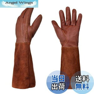 yzTARATI K[fO[u O K[fjO  fB[X Y  Ɨp ϔM ϖ |p  Orی A͎ gQh~ T{e [Y o Orی