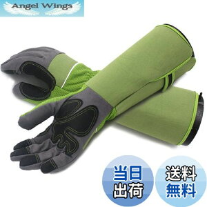 yzTARATI K[fjO K[fO[u vtFbVi T{e [Y o̎  KÑgQ [YO[u ϖ O Ǝ |p 