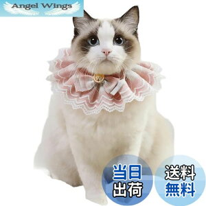 yzTengcong L̎ lR  悾ꂩ     ߉\ y ybgp lN^C 킢 y ^  Lp ybgpi (S, sN)