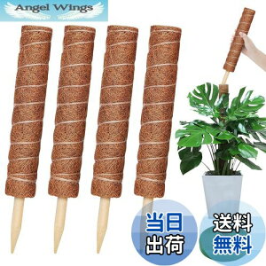 yzYOUSHY440cm|x ϗtAXe x wSx鐫A ϗtA RRXeBbNx AT|[gt[X^h RRibcx Ԏx K[fjOx _