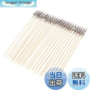 yzYFFSFDC lR̎莝_ yCeBONbv 25{h_ vf zr[php gݗčς Nbv Zbg GAuV