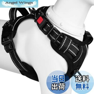 yz[2025ŐV^n[lX]BaoCheng p ^/^/^n[lX p h~ A^}ʂ P݌y TCY\ Ԕˍ Ȃ ʋC ȒP