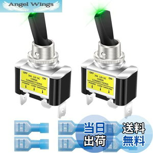 yzKiligen 2 bJ[CgtgOXCb` 12V 30A SPST I/It ϋv [VOJ[   gOXCb` LED C~l[V 12mm TCY ()