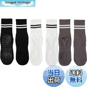 yz[DFsucces] K\bNX ~ KC 3 Õ\bNX  ۉ seBX \bNX RۏLC z z ʋC X|[c tBbglX I[V[YΉ 