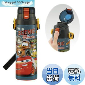 yzXP[^[(Skater) qp XeX   580ml fBYj[ J[Y 24 qɗDyʃ^Cv ۗp waterbottle X|[c{g  LbY q ǂ r SDC6N