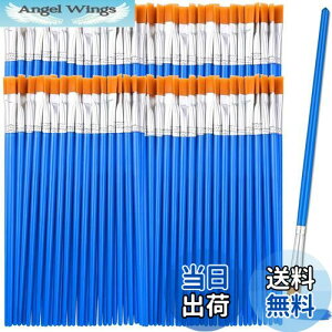 yzDFsucces M GM 50{Zbg 16.5cm ޕM ʕM vf h ʉ G AN yCg