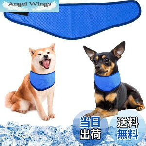 yzpN[o_i N[lbN p⊴O ybgpp pN[XJ[t p^I ybgp⊴ pXJ[t {[_[ ΍ObY ₷ 