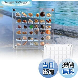 【送料無料】siawadeky 貝殻 ディスプレイ ボックス 2個セット 全透明 マグネット式 ミニ貝殻ボックス 防水 防塵 アクリル製 シェル収納ケース 巻貝 ヒトデ ネイル ビーズ 小物入れ 磁気ケース