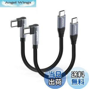 yzaceyoon USB C P[u Z 10cm Type-C L 2{ ő100W }[d ^CvC PL^ 10Z` 480Mbps f[^ CtoC P[u 90x  IX-IX 0.1M for iPhone16 15 V[Y for Galaxy ȂǂU