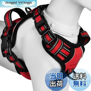 yz[2025ŐV^n[lX]BaoCheng p ^/^/^n[lX p h~ A^}ʂ P݌y TCY\ Ԕˍ Ȃ ʋC ȒP